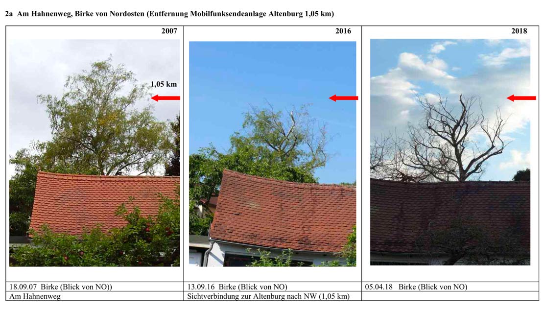 Beobachtungsstudie zu Baumschäden neben Mobilfunkanlagen in Bamberg - Scribd