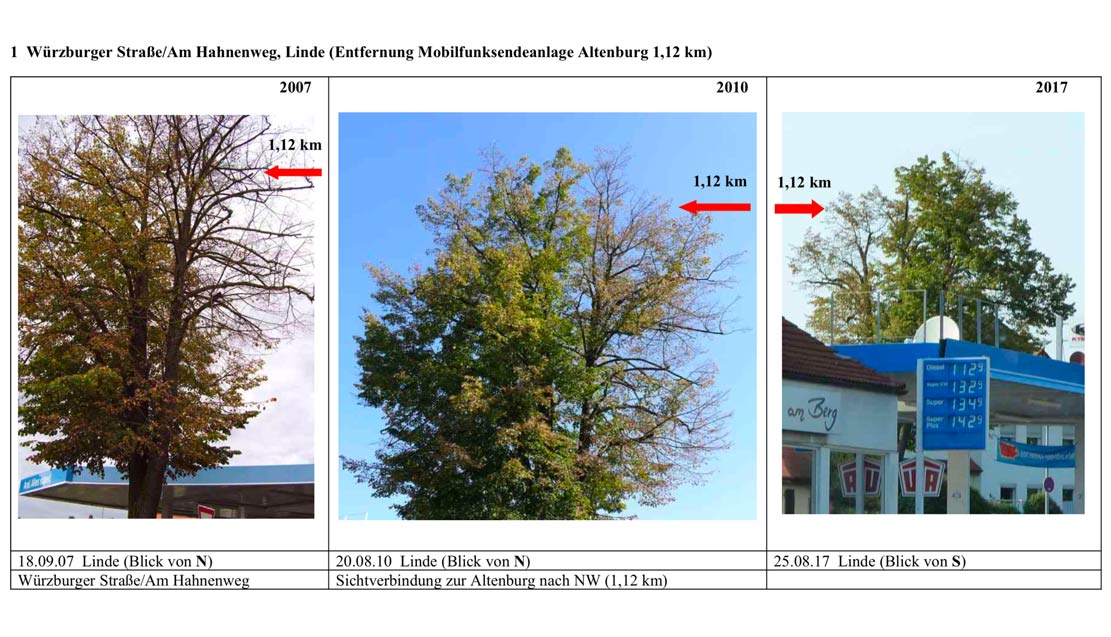 Beobachtungsstudie zu Baumschäden neben Mobilfunkanlagen in Bamberg - Scribd
