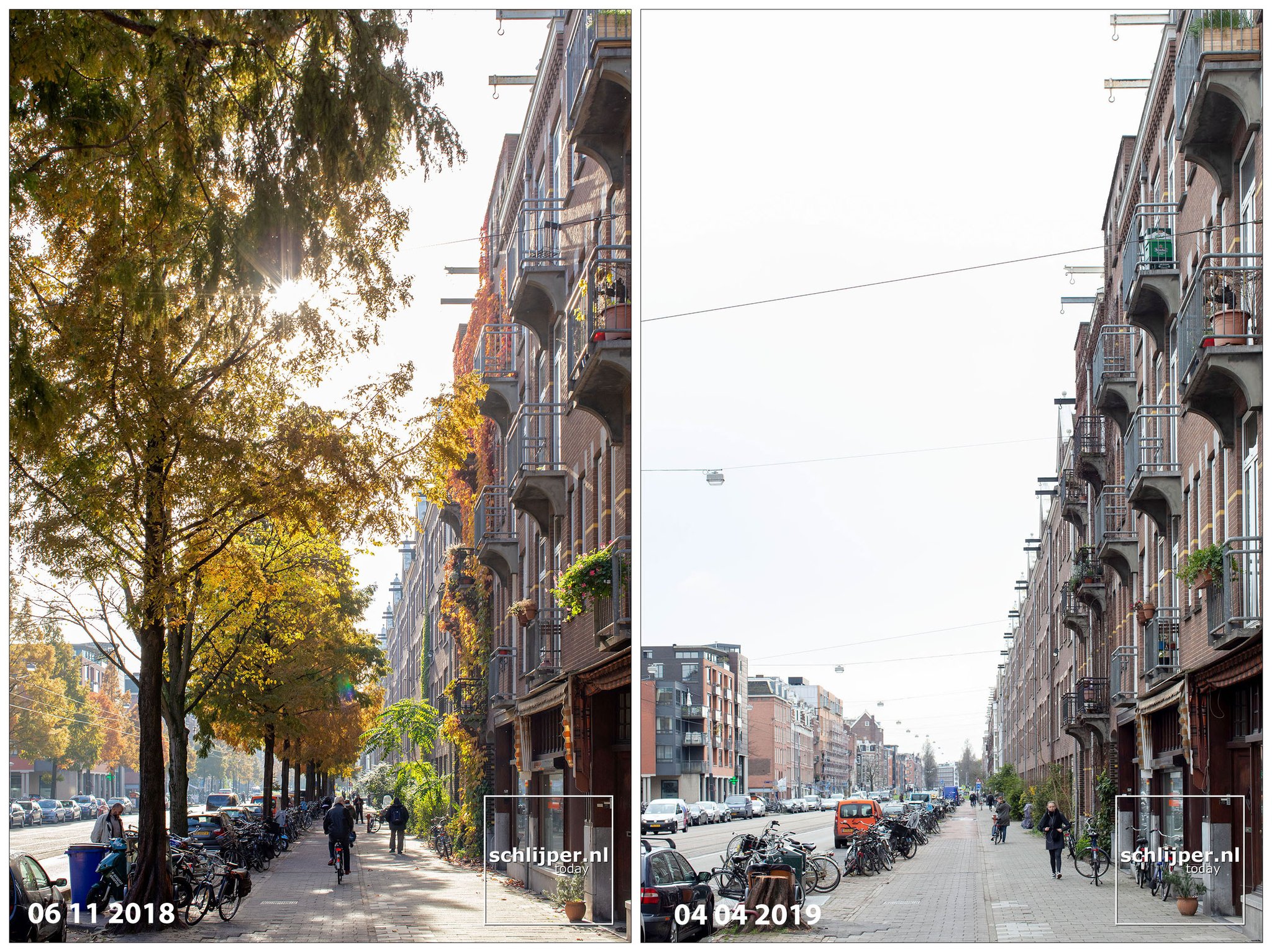 Frederik Hendrikstraat Amsterdam -voor en na de kap van alle bomen