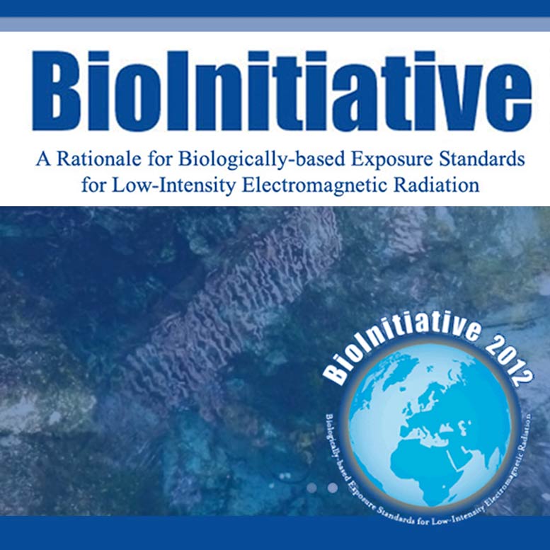 bioiniative